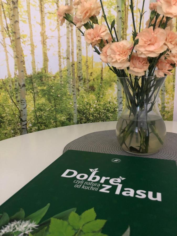 梅尔诺Lesny Dwor公寓式酒店 外观 照片